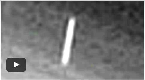 CLICK NOW: Are there giant UFO's at Pluto?