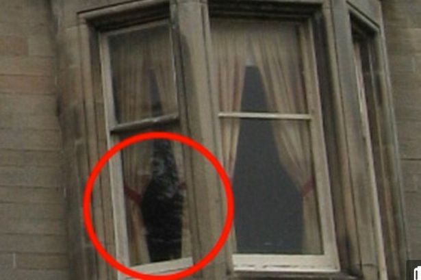 The Overtoun ghost? Is it responsible for the deaths of hundreds of dogs?