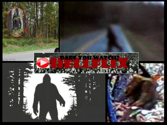 play-button-big-foor-hellflix-slide-you-tube