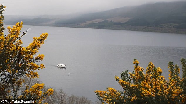 402A2C9B00000578-4492368-image-a-58_1494428146658