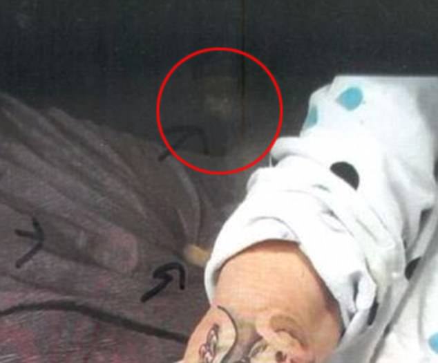 4502292200000578-4946452-A_picture_taken_at_her_home_shows_the_ghost_of_a_cat_sitting_beh-m-2_1507073270832