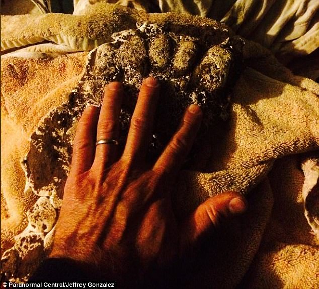 4571D36A00000578-4990702-Gonzalez_also_says_he_has_what_he_describes_as_a_footprint_mold_-m-29_1508301443503