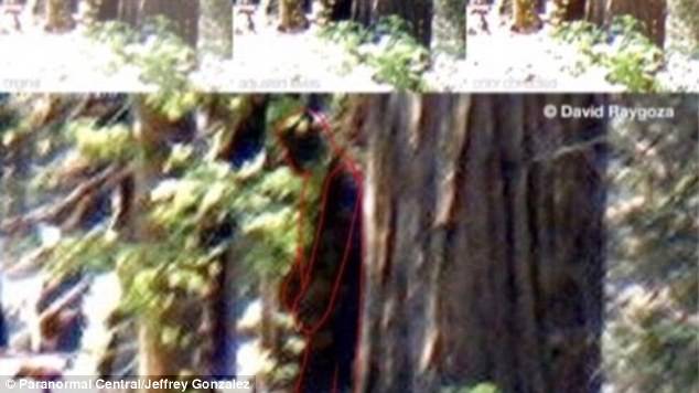 4571D37F00000578-4990702-image-a-27_1508301427064