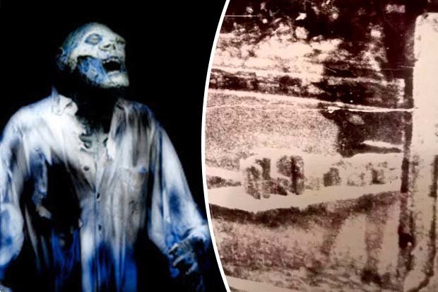 Ghost-spotted-654727