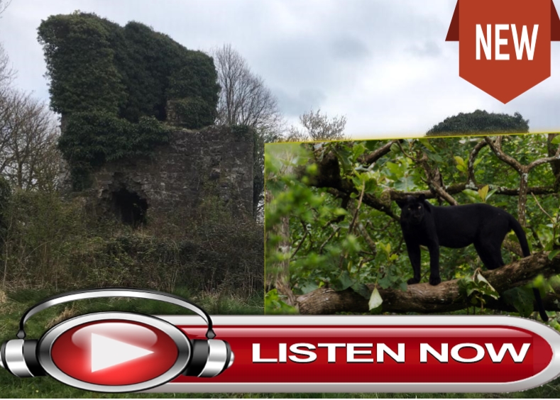 clay lane cat listen now