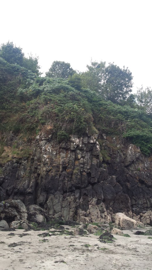 Was the Big cat seen here in Fishguard? - Pic G. Ansell